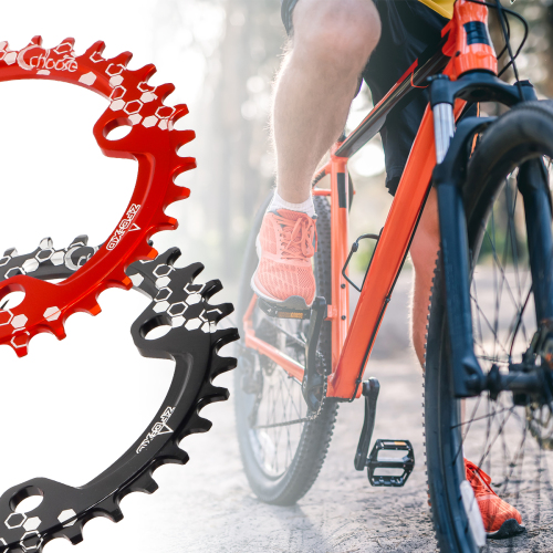 Bike Chain/Chainring