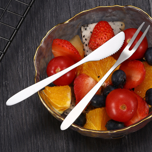 304 Stainless Steel Knife Fork Set Small Cutlery for Fruits Cakes and Pastries Silverware Set for Home Kitchen