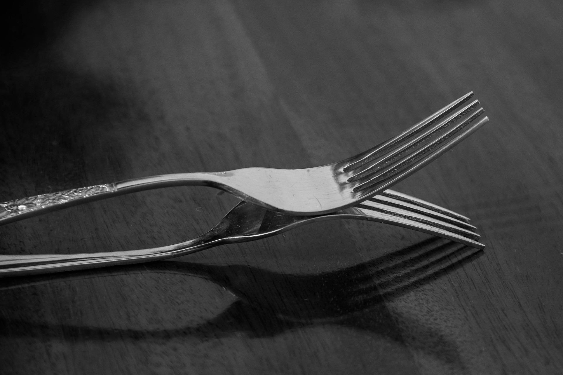 The Rise of the Fork