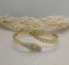 Stiff Bracelet