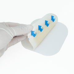 Bordered Hydrocolloid Foam Wound Dressing