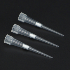 Universal Pipette tips (Yellow & Blue）
