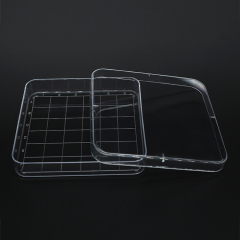 Petri dishes