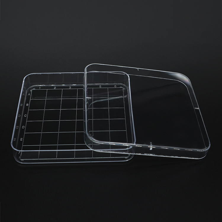 Petri dishes