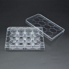 Cell culture plate