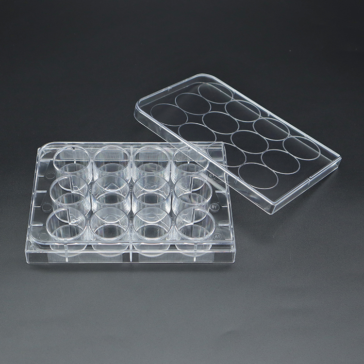 Cell culture plate