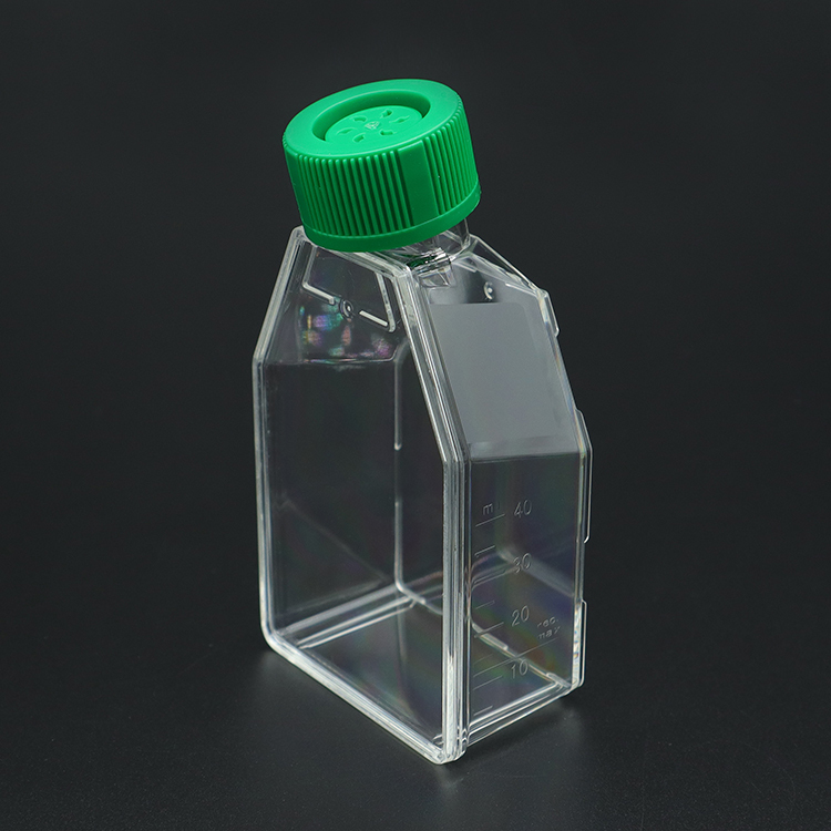 Cell Culture Flask