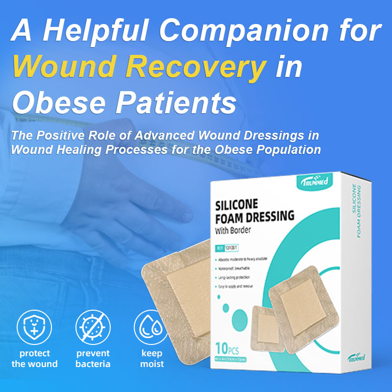 The Positive Role of Wound Dressings in Wound Healing Processes for the Obese Population