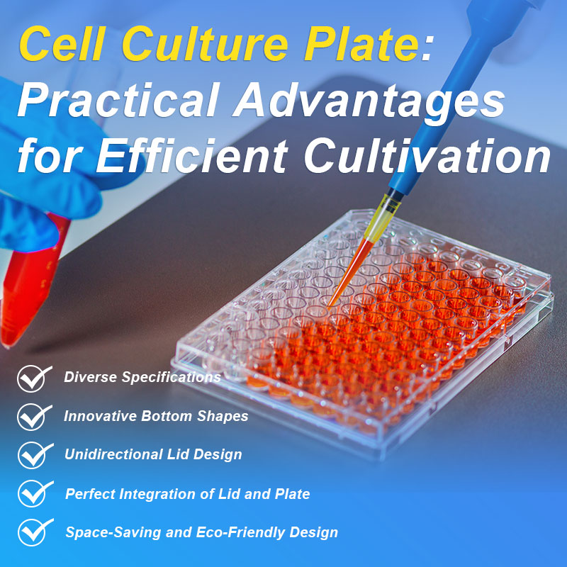 Trummed Cell Culture Plate: Practical Advantages for Efficient Cultivation