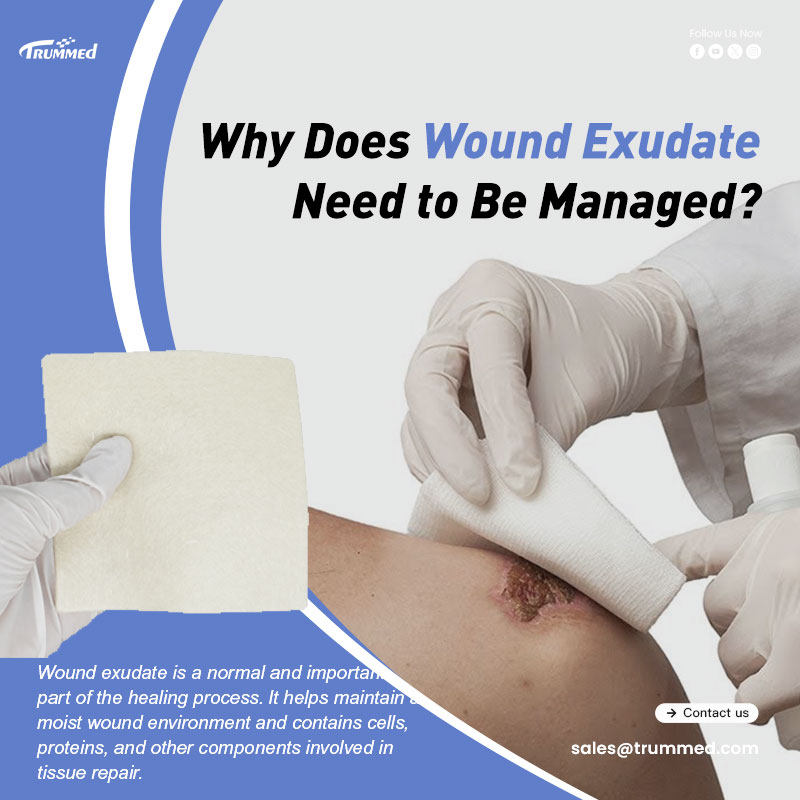 Why Does Wound Exudate Need to Be Managed?