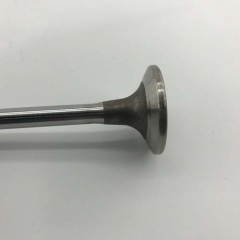 Construction Machinery Spare Part Intake Valve 4955239 for Cummins M11 Engine