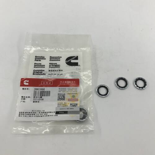 Cummins K19 QSK19 Engine Part Engine Fuel Pump Sealing Washer 3963990