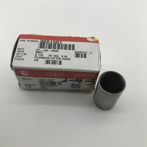 Cummins K19 Engine Part Plunger Filter Head 3081507