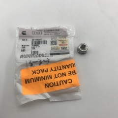 Hexagon Nuts 3818824F for Cummins ISF QSF engine