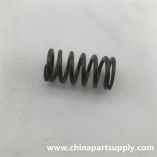 Exhaust Valve Spring 5307153 for Cummins ISF QSF