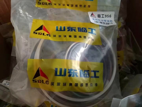 SDLG LG956 Wheel Loader Spare Part Boom oil seal