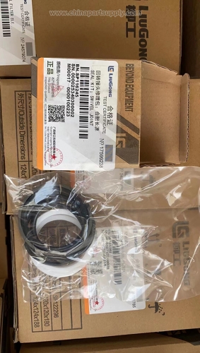 SP116245 LiuGong Swivel Joint Seal Kit