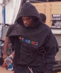 Astroworld Embroidered Logo hoodie Travis Scott