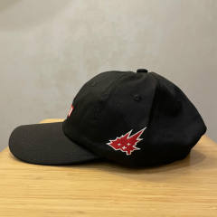 Travis Scott Cacti Hat