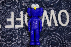 Kaws x Sesame Street Figure 5 Colors