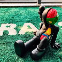 OW x IKEA 'WET GRASS' Green Rug Carpet