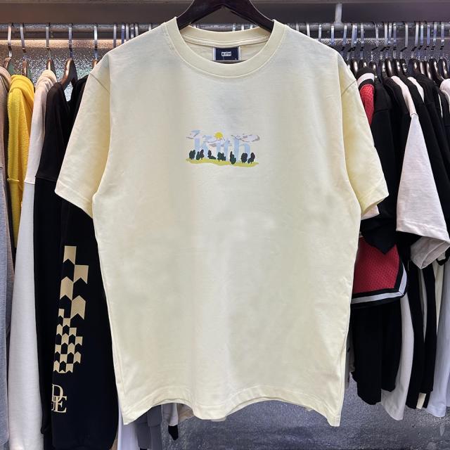 Kith the clouds turned fine tee 3 colors