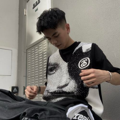 Stussy Stussy Photo Jacquard Vest