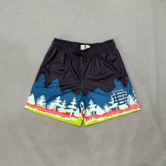 1:1 Quality Eric EE Pine Forest Scene Printed Breathable Shorts 2 colors