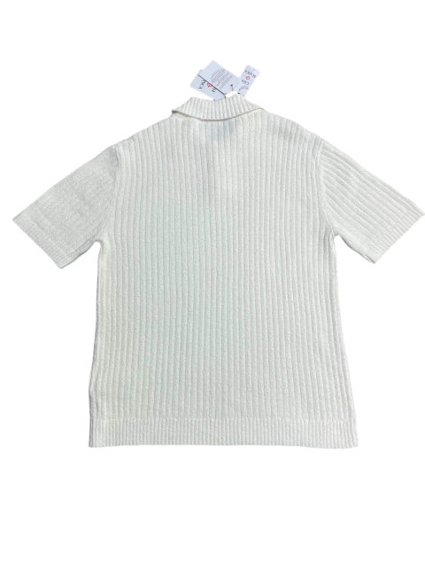 1:1 Quality Casa Vertical knit polo shirt 2 colors