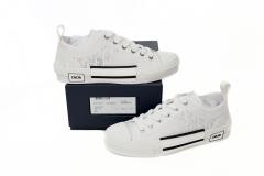 D Low Top Oblique 3SN249YNT_H060