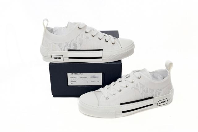 D Low Top Oblique 3SN249YNT_H060