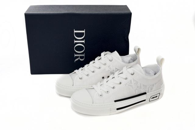 D Low Top Oblique 3SN249YNT_H060