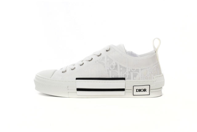 D Low Top Oblique 3SN249YNT_H060