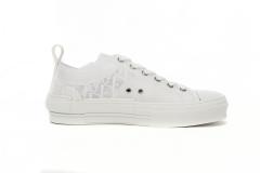 D Low Top Oblique 3SN249YNT_H060