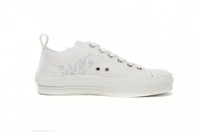 D Low Top Oblique 3SN249YNT_H060