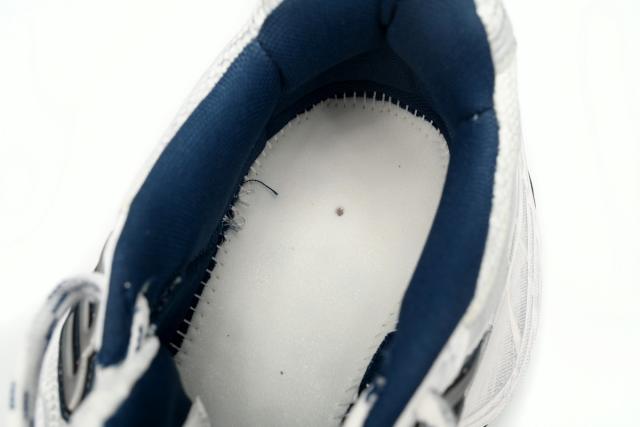 B Cargo White, Black and Blue 784342 W2MV2 1219