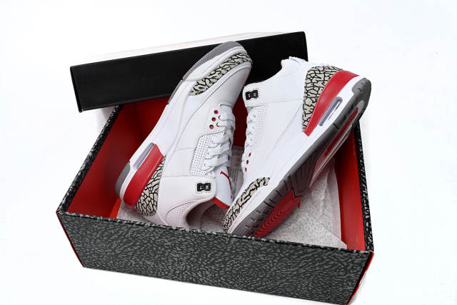 Air Jordαn 3's Retro Hall of Fame 136064-116