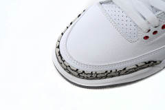 Air Jordαn 3's Retro Hall of Fame 136064-116