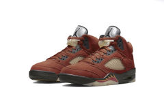 Air Jordαn 5's Retro Dunk on Mars DD9336-800