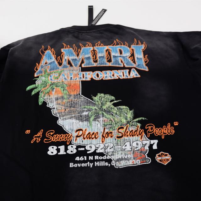 Amir* T-Shirt Black