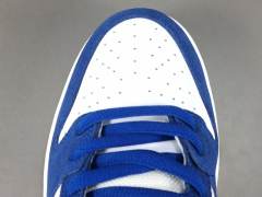 SB DUNK x LOS ANGELES DODGERS