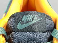 SB DUNK x CERAMIC