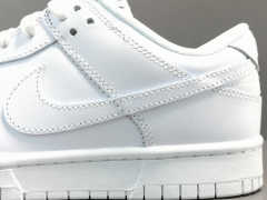 SB DUNK x TRIPLE WHITE