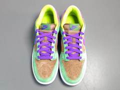 SB DUNK x VENEER