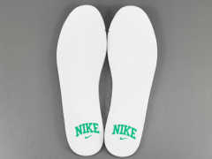 SB DUNK x CELTICS
