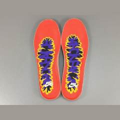 SB DUNK LOW PRO x NECKFACE