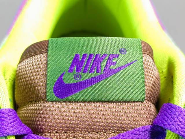 SB DUNK x VENEER