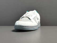 SB DUNK x ICE