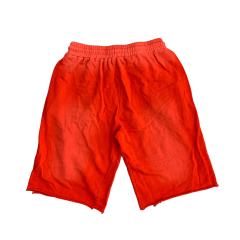 Lost Intricacy Four 3D Logo Print Washed Version Shorts 3 colors