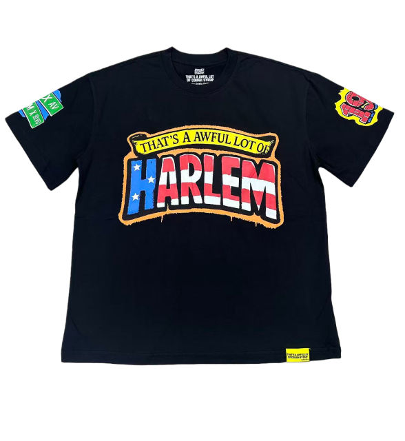 Star-Spangled Banner Colorway Graffiti Letter Eagle Print Tee 28599023